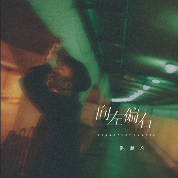 陈麒名《向左偏右》封面